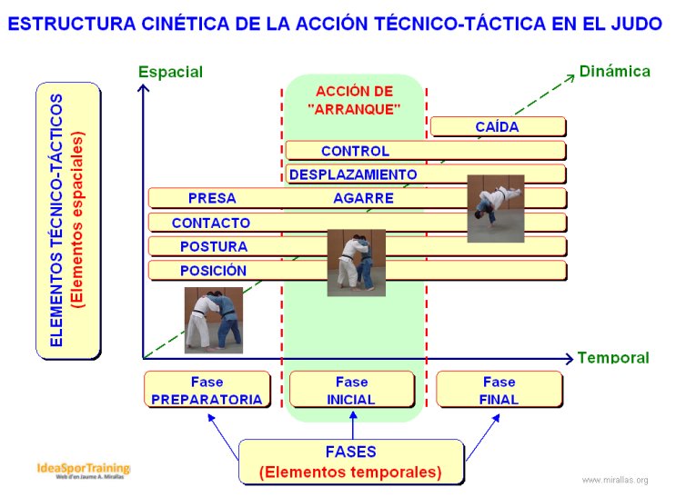 ECineticaJudo_cas