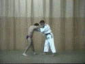 O-soto-gari31