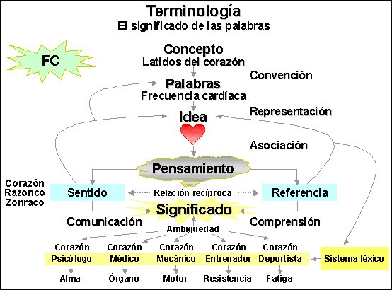 Terminología - concepto
