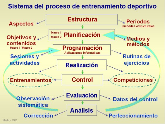 Sistema proceso entrenamiento deportivo