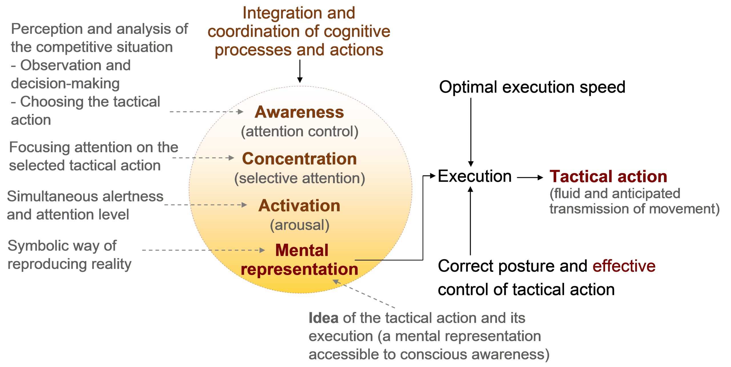 Conceptual map: Psychomotor behavior in athletes (tactical action)