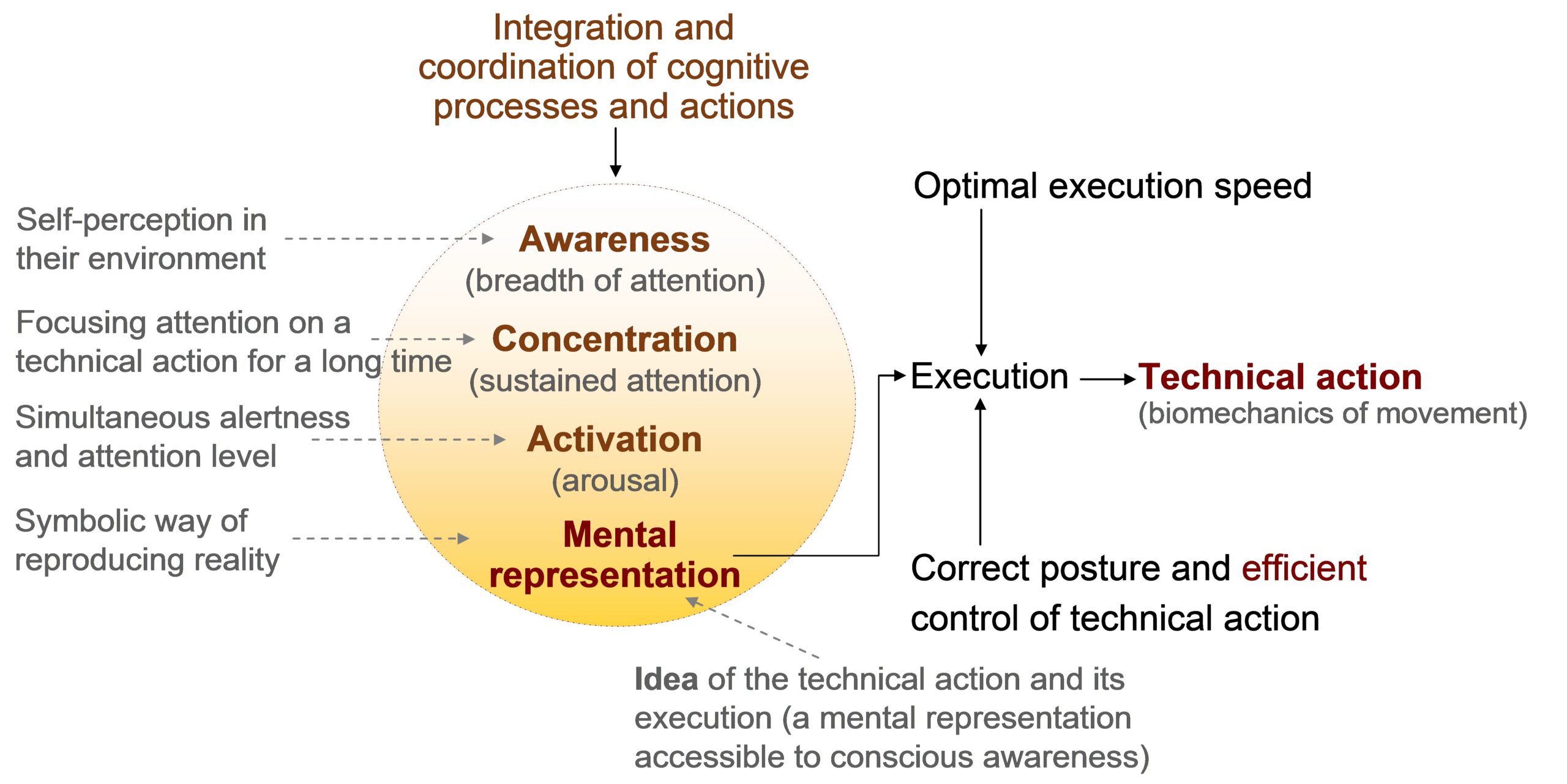 Conceptual map: Psychomotor behavior in athletes (technical action)